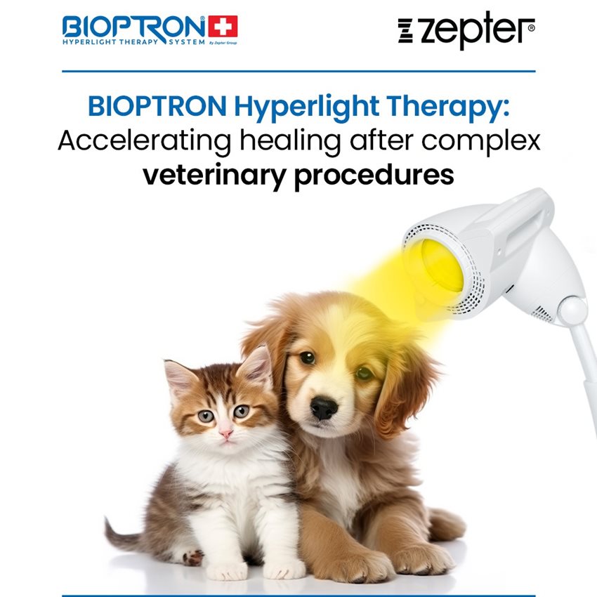 BIOPTRON® Hyperlight Therapy in reconstruction surgery of a dog