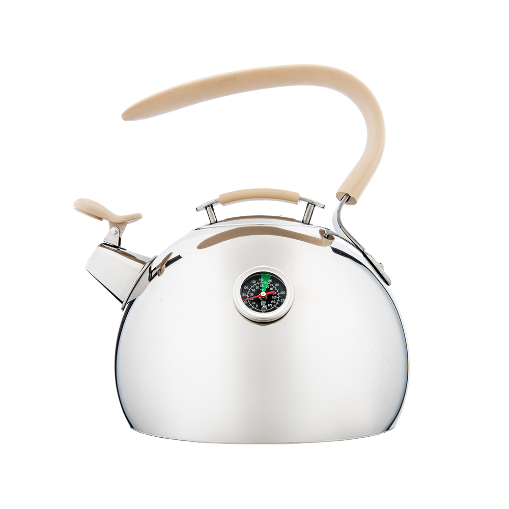 Kettle 2.4 l Zepter Shop